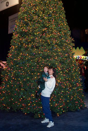 Jane wasn't sure what to think of the huge trees