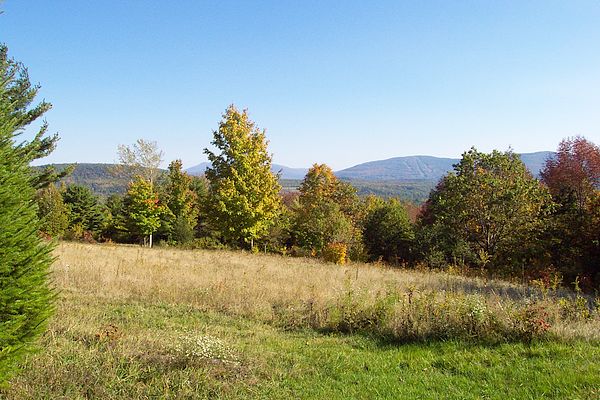 View from the Cabin