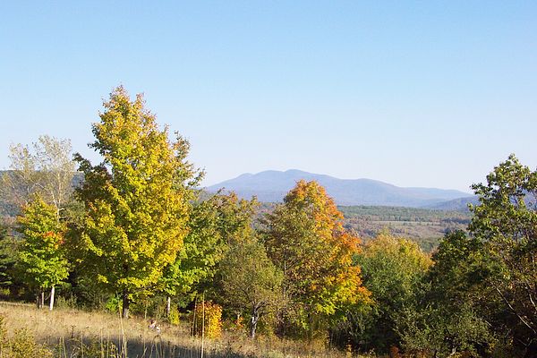 View from the Cabin