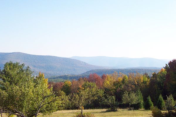 View from the Cabin