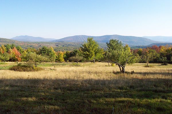 View from the Cabin