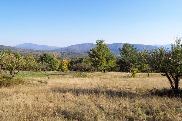 View from the Cabin