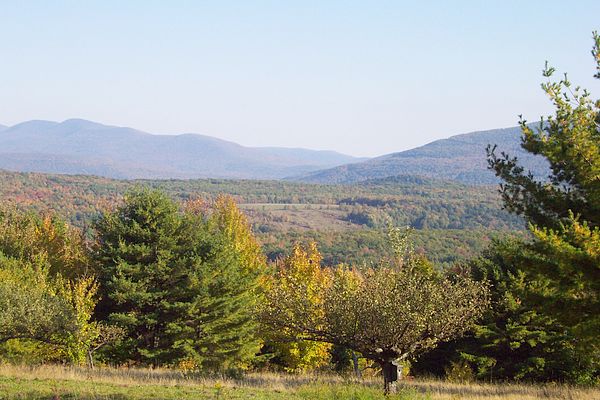 View from the Cabin