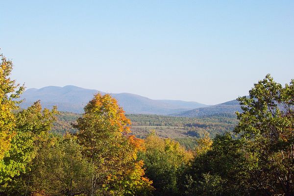 View from the Cabin