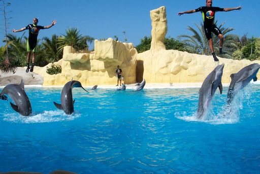 Loro Park, Dophin Show