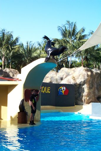 Loro Park, Sea Lion Show