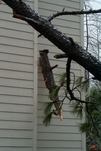 A tree snapped in a yard across the street and a large portion of the trunk logged itself into the side of a house (not ours).