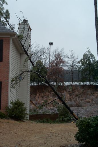 Another shot of the neighbor's house with the tree sticking out of the side