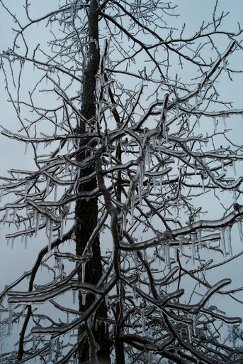 Ice sculpture