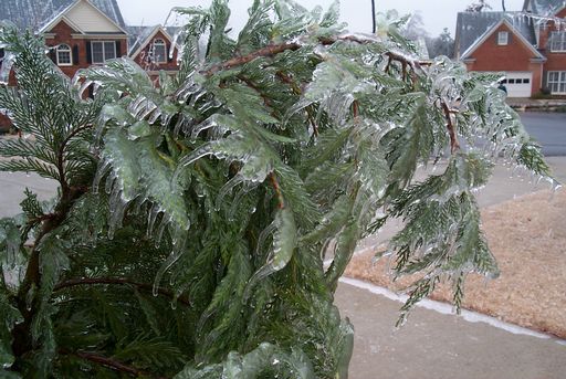 Ice sculpture