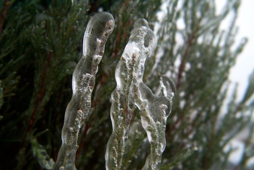 Ice sculpture