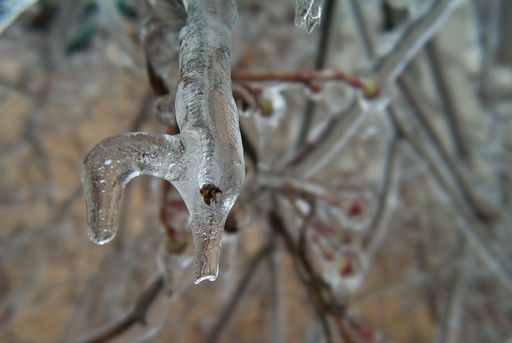 Ice sculpture