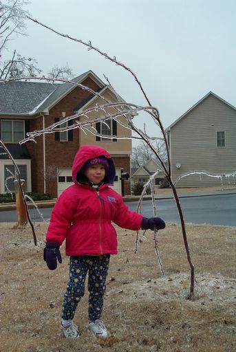 Jane loved all of the ice