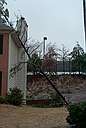 Another shot of the neighbor's house with the tree sticking out of the side