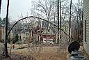 An icy arch in our back yard